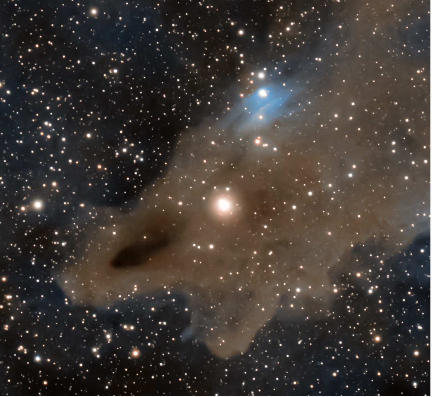 LDN1235 – The Shark Nebula